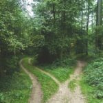 Due sentieri che si dividono in un bosco (foto Jens Lelie, Unsplash)